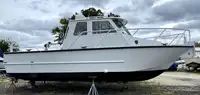 Hike Aluminum Crew/Dive/Work Boat w/ Built-in Commercial Diving System