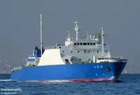 115m RoRo Cargo Vessel