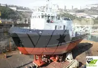 33m / 32ts BP Tug for Sale / #1017837