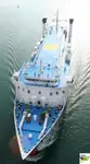 101m / 793 pax Passenger / RoRo Ship for Sale / #1031350