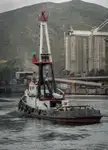 SINGLE SCREW TUGBOAT for sale