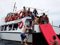 1987 Commercial Snorkelling Day Cruiser Fishing Boat