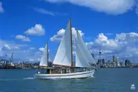 Norwegian Pilot Ketch/ Classic Charter Vessel